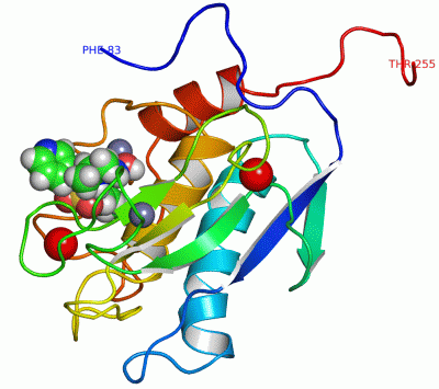 Image NMR Structure - manually