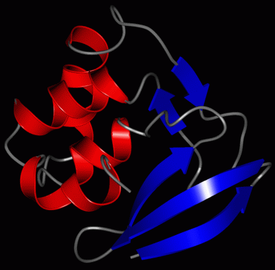 Image Asym./Biol. Unit - manually