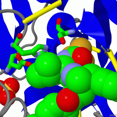 Image Asym./Biol. Unit - manually