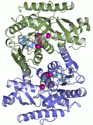 Image Asym./Biol. Unit - manually