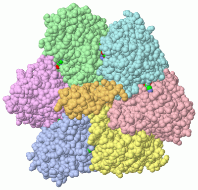 Image Asym./Biol. Unit - manually