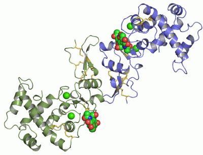 Image Asym./Biol. Unit - manually