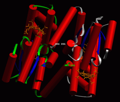 Image Asym./Biol. Unit - manually