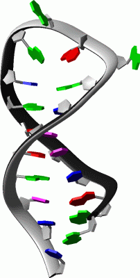 Image NMR Structure - manually