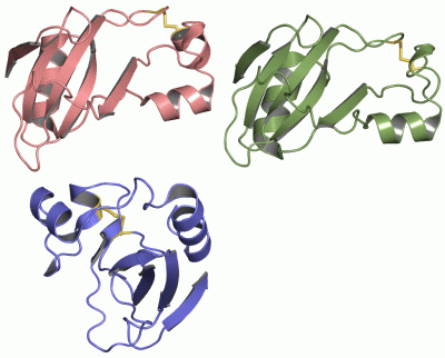 Image Asym.Unit - manually