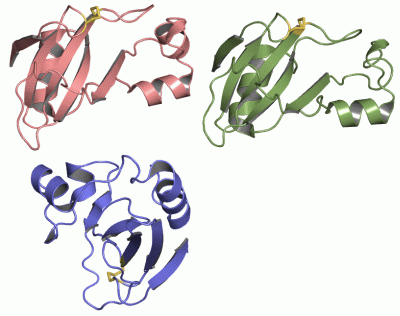 Image Asym.Unit - manually