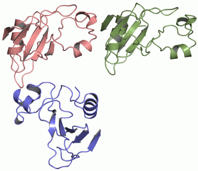 Image Asym.Unit - manually
