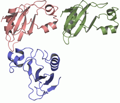 Image Asym.Unit - manually