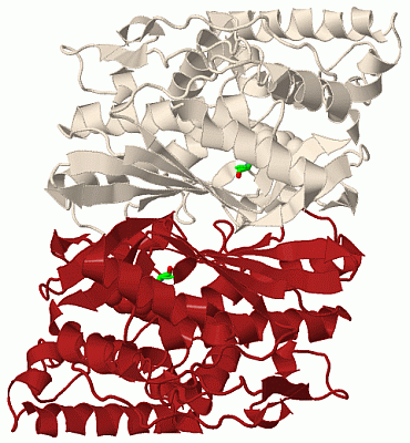 Image Biol.Unit 1 - manually