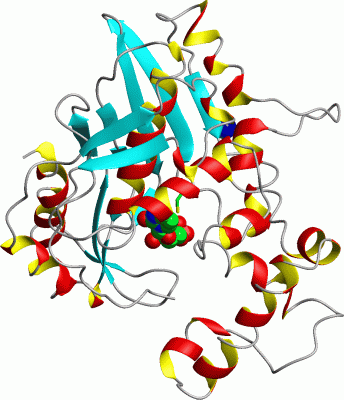 Image Asym.Unit - manually