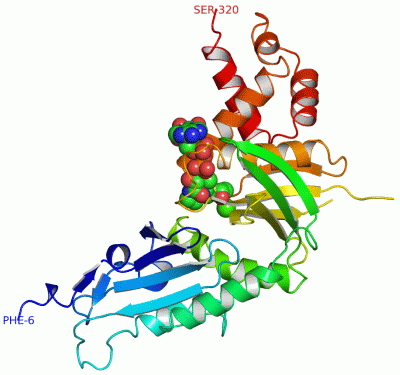 Image Asym./Biol. Unit - manually