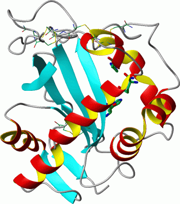 Image Asym./Biol. Unit - manually