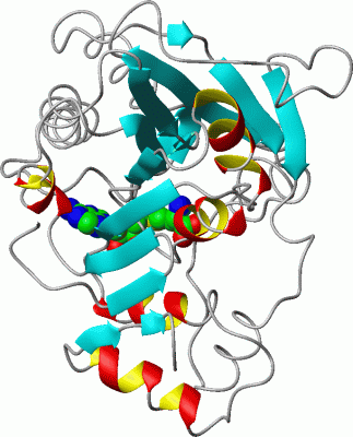 Image Asym./Biol. Unit - manually