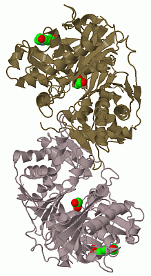 Image Biol.Unit 1 - manually