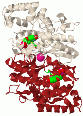 Image Biol.Unit 1 - manually
