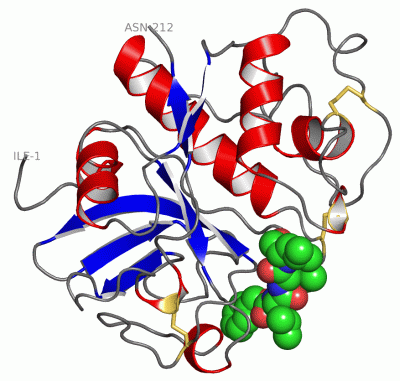 Image Asym./Biol. Unit - manually