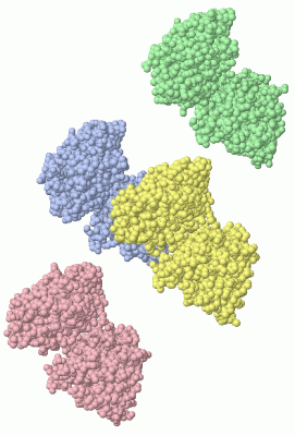 Image Asym./Biol. Unit - manually