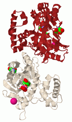 Image Biol.Unit 1 - manually