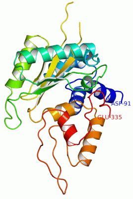 Image Asym./Biol. Unit - manually