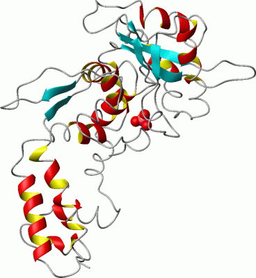 Image Asym./Biol. Unit - manually