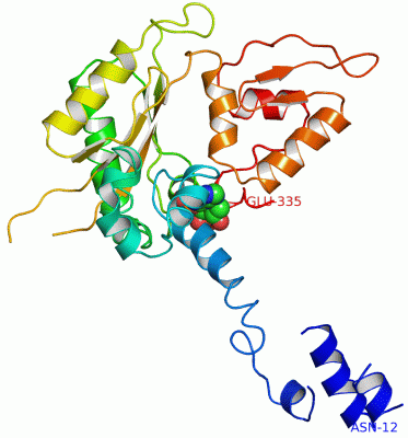 Image Asym./Biol. Unit - manually