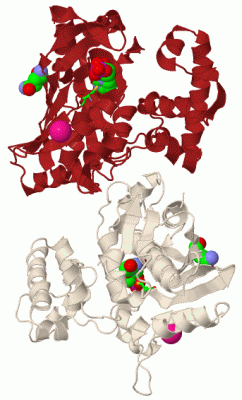 Image Biol.Unit 1 - manually