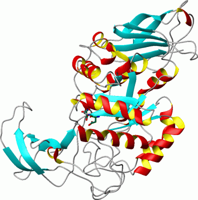 Image Asym./Biol. Unit - manually