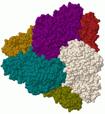 Image Biol.Unit 1 - manually