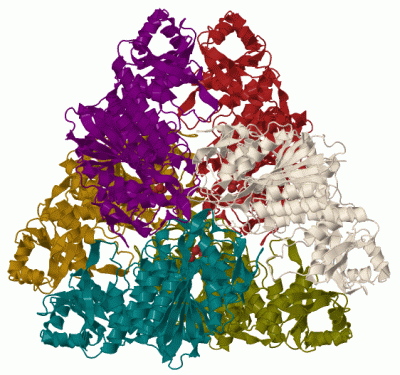 Image Biol.Unit 1 - manually