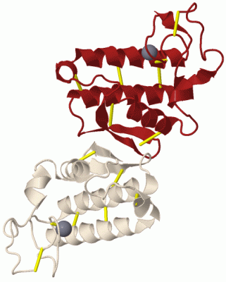 Image Biol.Unit 1 - manually