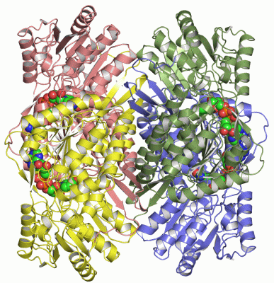 Image Asym./Biol. Unit - manually