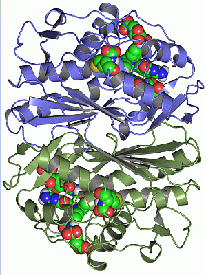 Image Asym./Biol. Unit - manually