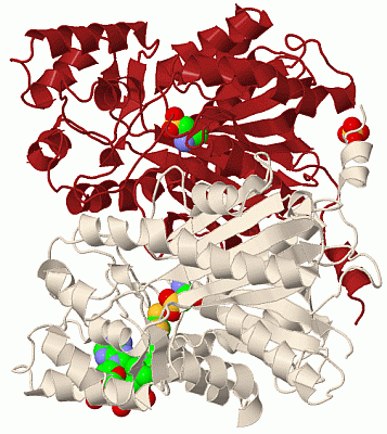 Image Biol.Unit 1 - manually