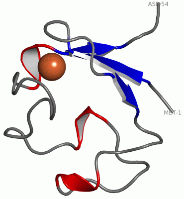 Image Asym./Biol. Unit - manually