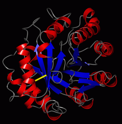 Image Asym./Biol. Unit - manually