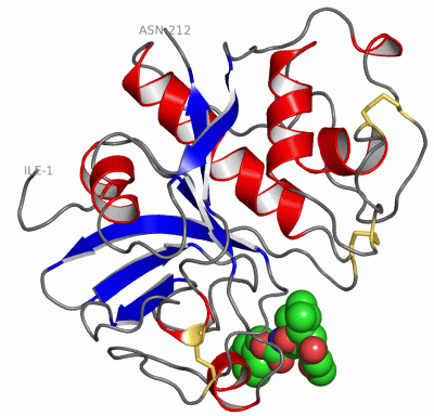 Image Asym./Biol. Unit - manually