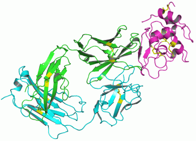 Image Asym./Biol. Unit - manually