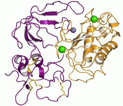 Image Asym./Biol. Unit - manually