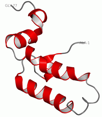 Image NMR Structure - manually