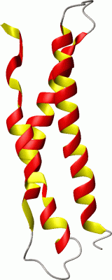 Image NMR Structure - manually