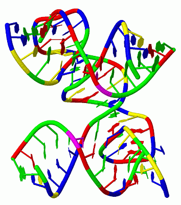 Image Biol.Unit 1 - manually