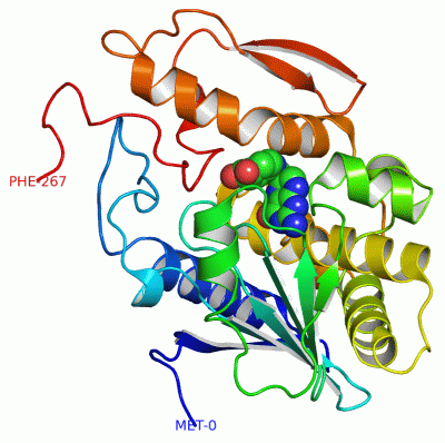 Image Asym./Biol. Unit - manually