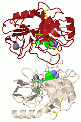 Image Biol.Unit 1 - manually