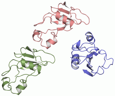 Image Asym.Unit - manually