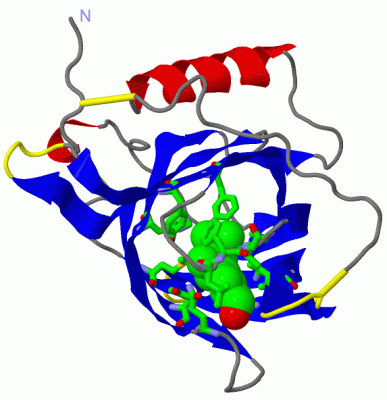 Image Asym./Biol. Unit - manually