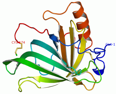Image Asym./Biol. Unit - manually