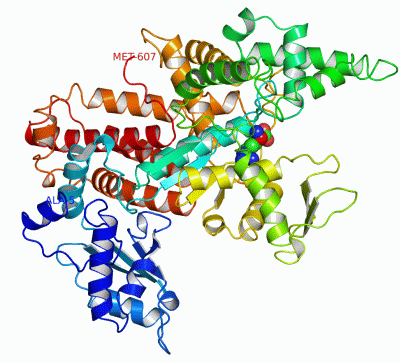 Image Asym./Biol. Unit - manually