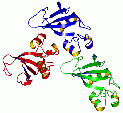 Image Asym.Unit - manually