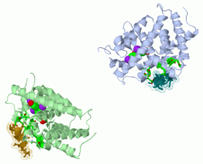 Image Asym./Biol. Unit - manually