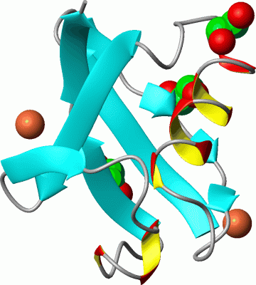 Image Asym./Biol. Unit - manually